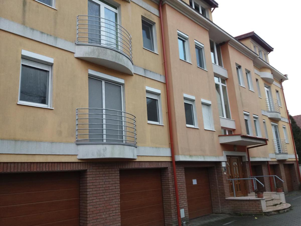 Elizabet Apartman A Belvarosban 索尔沃什 外观 照片