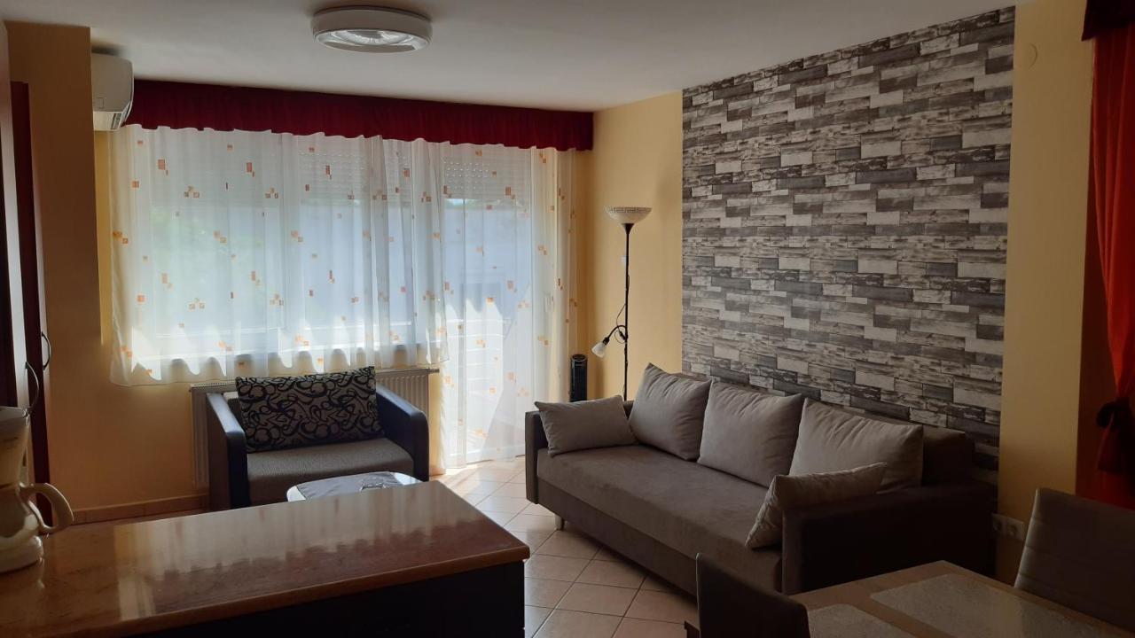 Elizabet Apartman A Belvarosban 索尔沃什 外观 照片